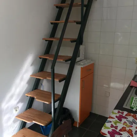 Escape