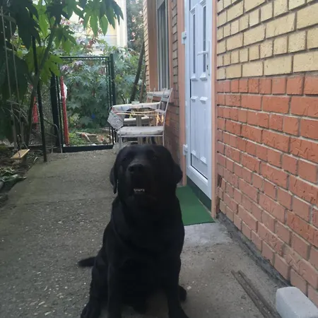 Apartamento Escape Novi Sad