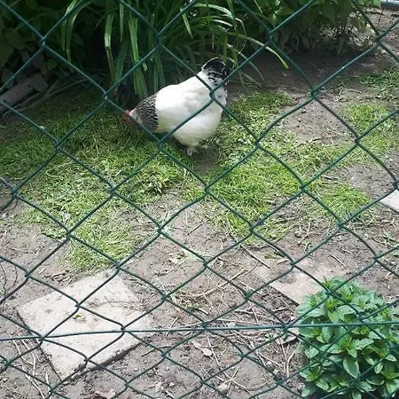 Apartment Escape *