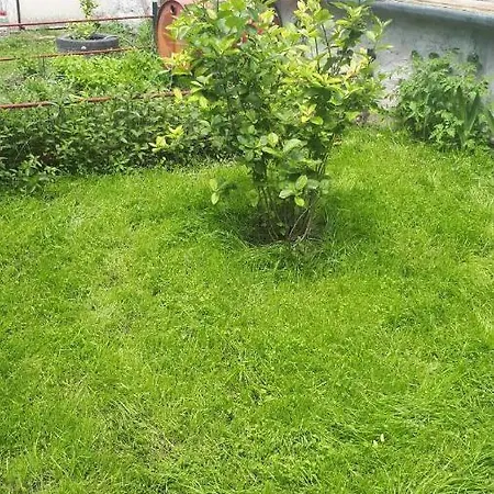 Escape Apartamento *